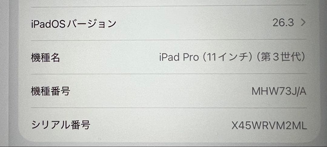 ipadpro11 インチ 第3世代 256G WiFi セルラー