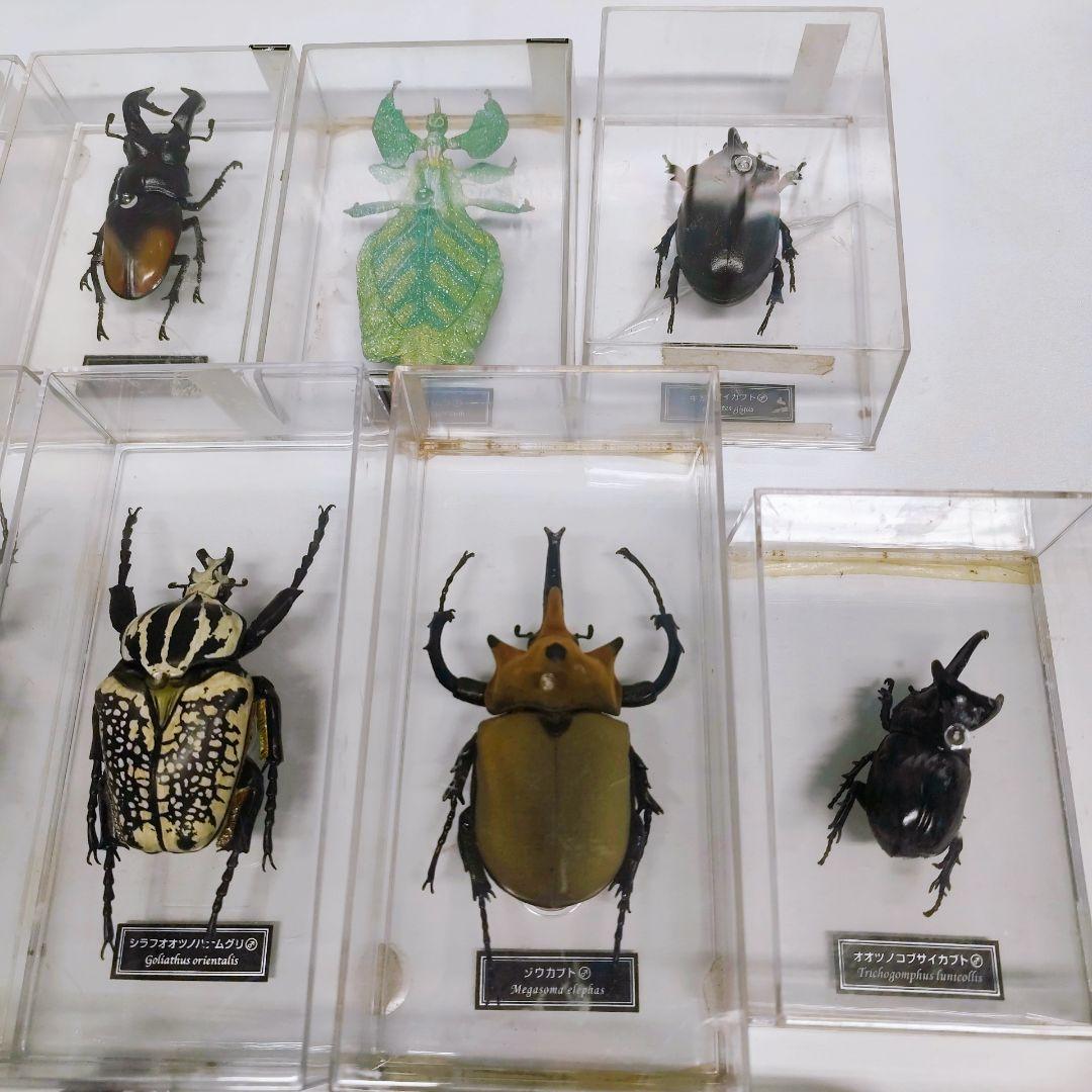 ディアゴスティーニ　世界の昆虫　フィギュア49点まとめ売り