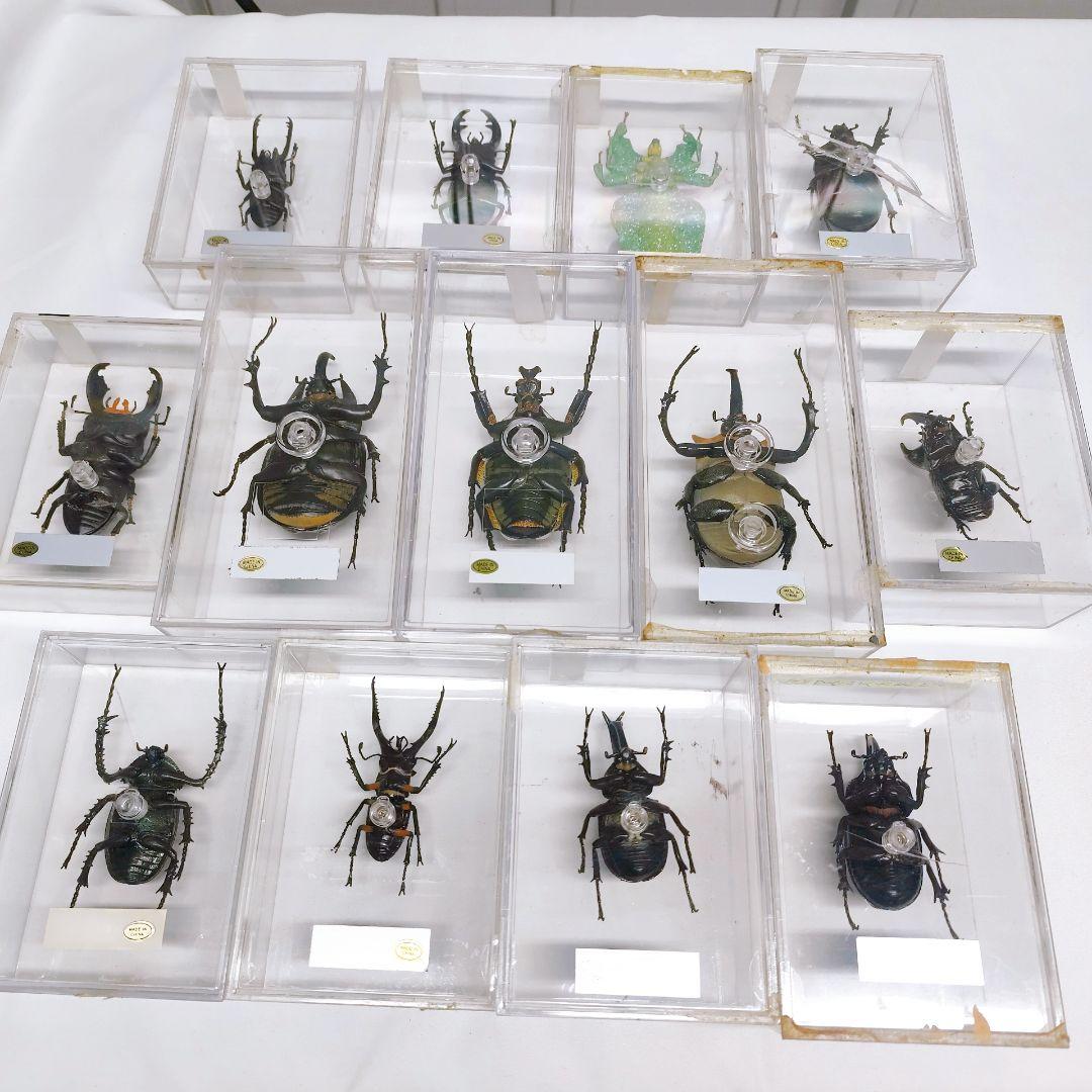ディアゴスティーニ　世界の昆虫　フィギュア49点まとめ売り