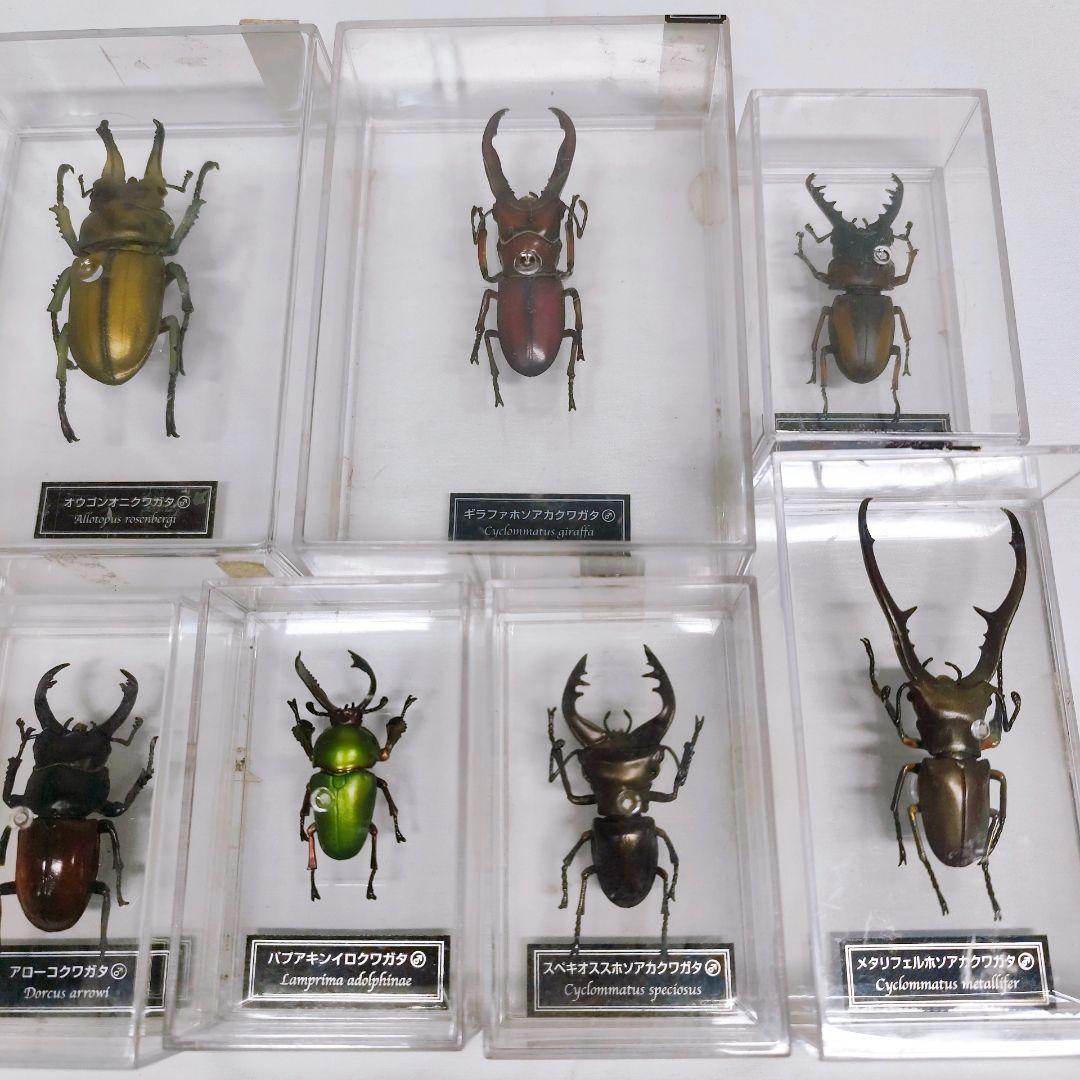 ディアゴスティーニ　世界の昆虫　フィギュア49点まとめ売り