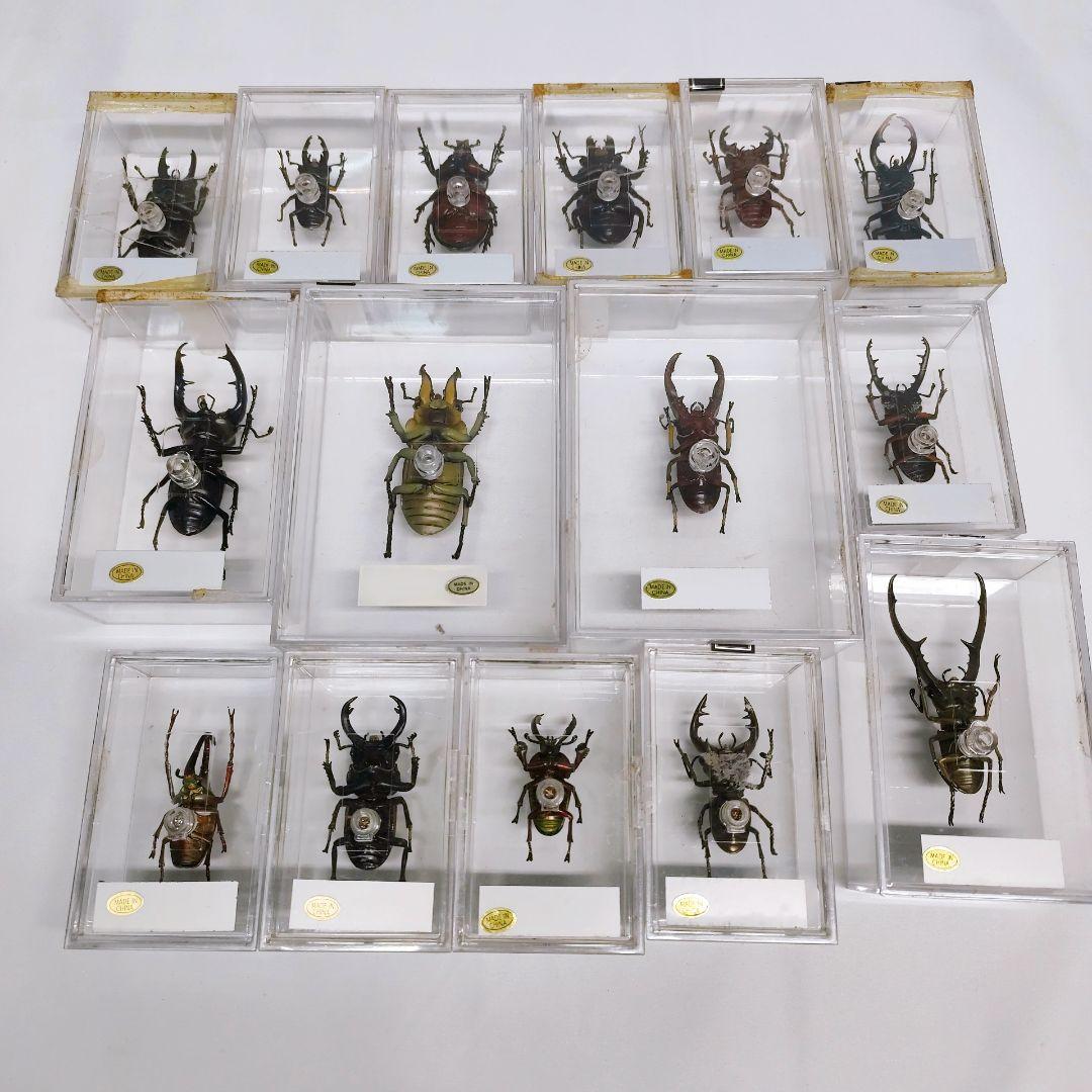 ディアゴスティーニ　世界の昆虫　フィギュア49点まとめ売り
