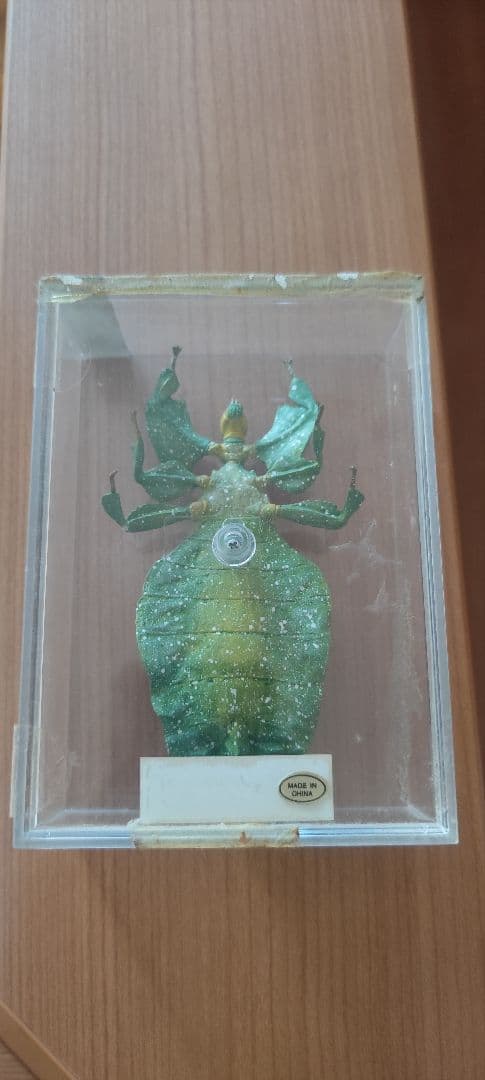 ディアゴスティーニ　世界の昆虫　フィギュア49点まとめ売り