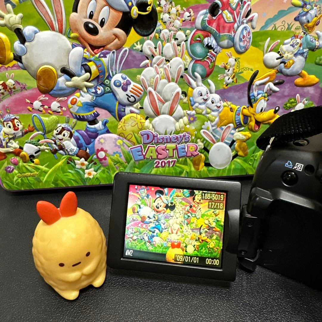 キャノンCanon PowerShot SX20 IS 動作確認済　中古良品