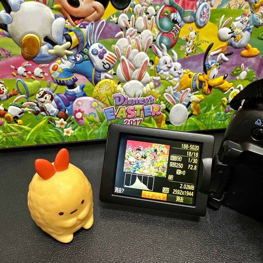 キャノンCanon PowerShot SX20 IS 動作確認済　中古良品