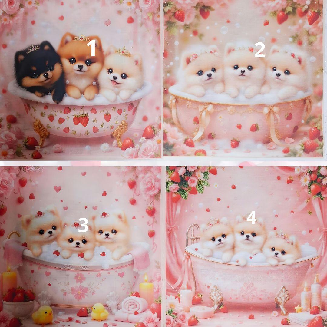 可愛い♥️ポメラニアン♥️オーダー用在庫パネル♥️過去の在庫分