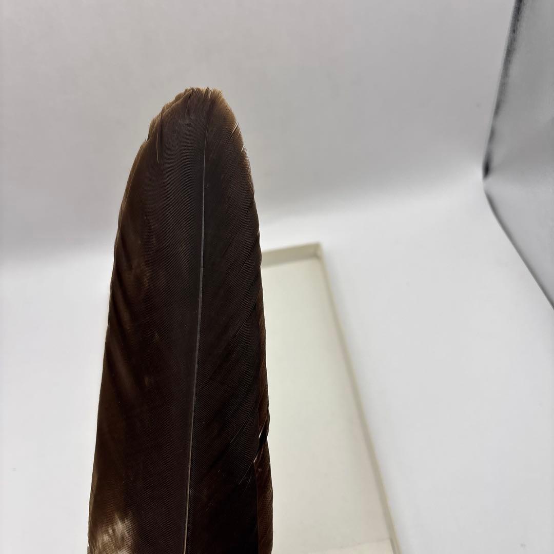 茶道具　羽箒　33cm