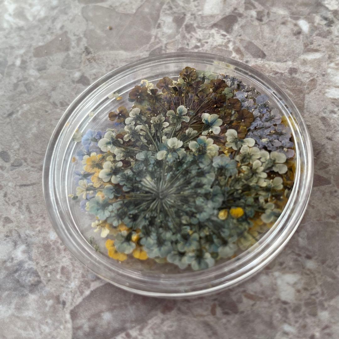 Maison de Riry さん押し花　ジェルネイル
