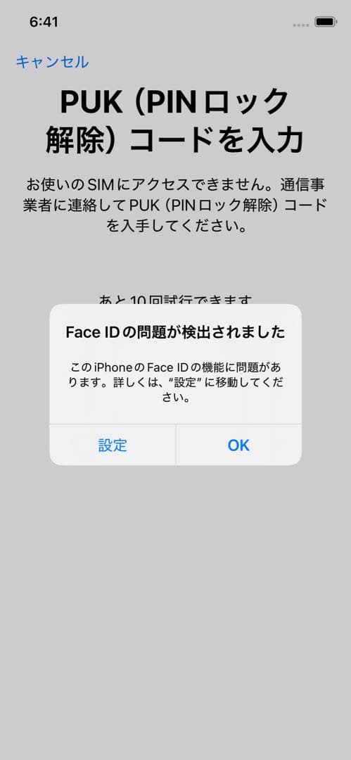 g*u様 Apple iPhone XS 512GB 難あり　ケースおまけ