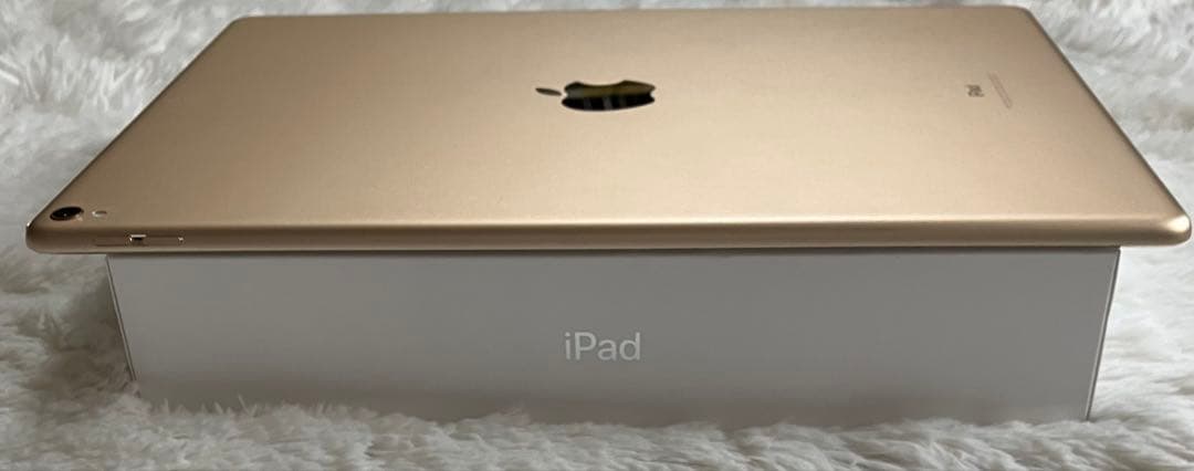 【早い者勝ち】iPad Pro 12.9 256GB 【すぐ発送】【付属品】