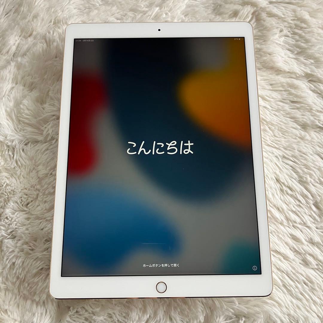 【早い者勝ち】iPad Pro 12.9 256GB 【すぐ発送】【付属品】