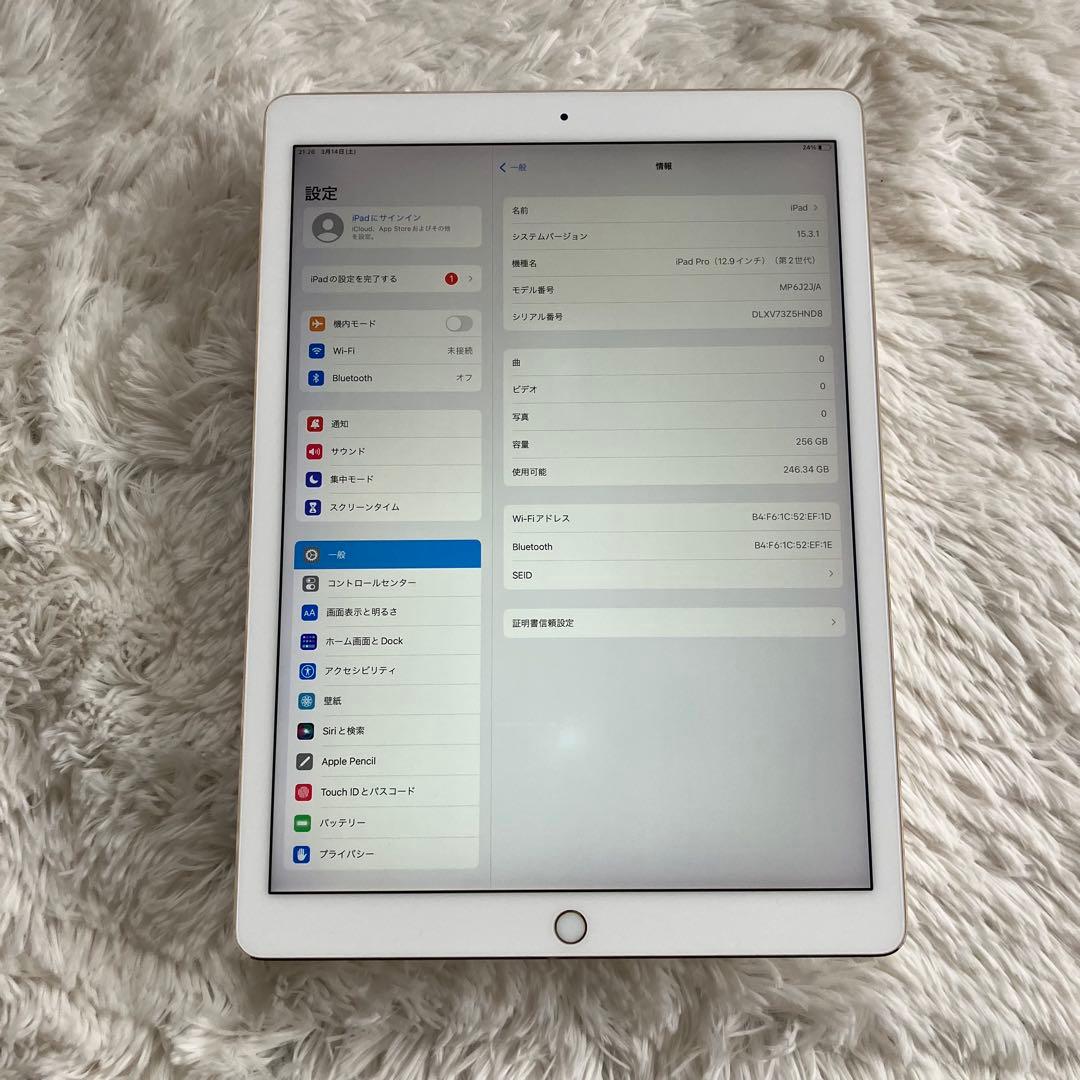 【早い者勝ち】iPad Pro 12.9 256GB 【すぐ発送】【付属品】