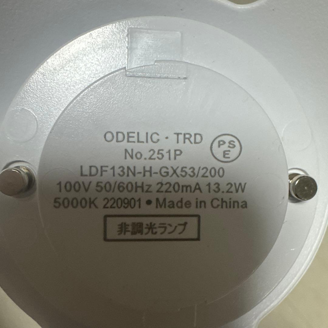 odelc trd 電気　　オーデリック　NO.251p
