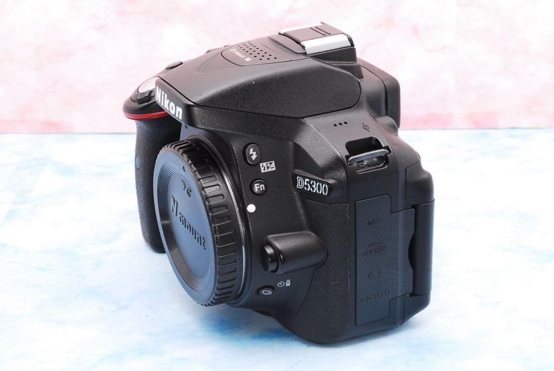 ☆Nikon D5300☆手ぶれ補正Wレンズ☆Wi-Fi搭載☆一眼レフカメラ