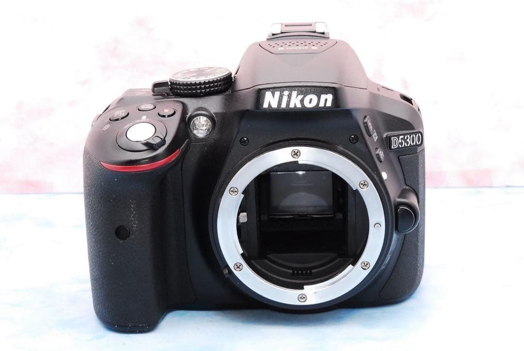 ☆Nikon D5300☆手ぶれ補正Wレンズ☆Wi-Fi搭載☆一眼レフカメラ