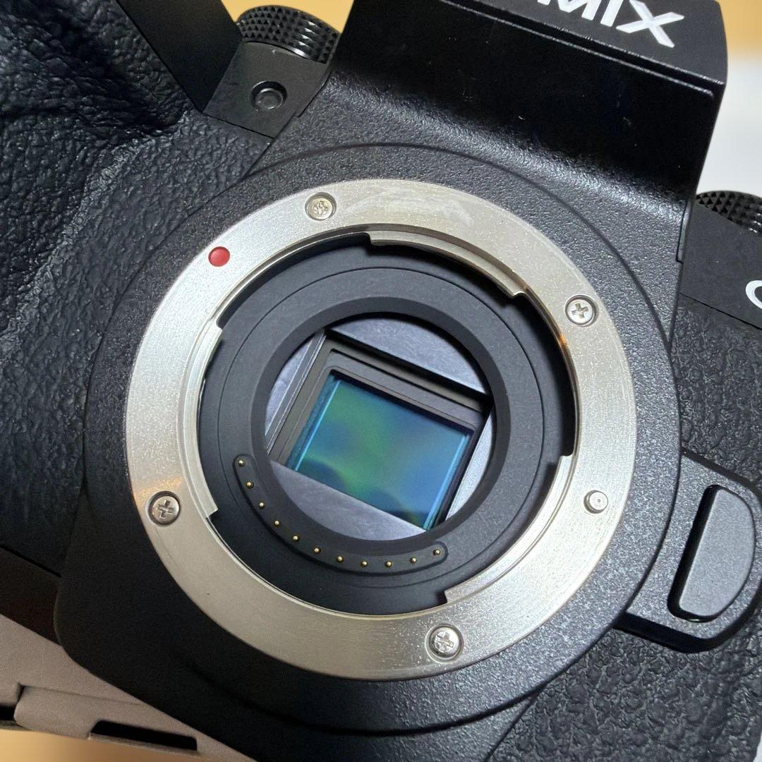 LUMIX G99Ⅱ ボディのみ