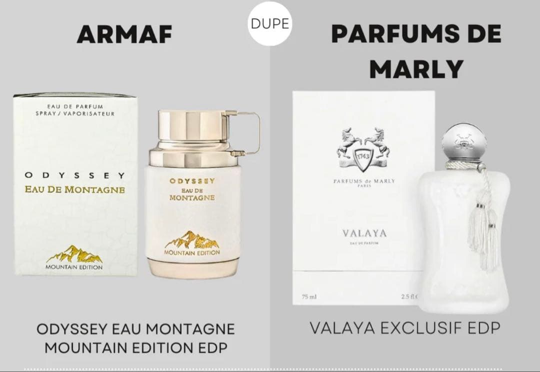 香水(ユニセックス) Armaf Odyssey Eau de Montagne 100ml
