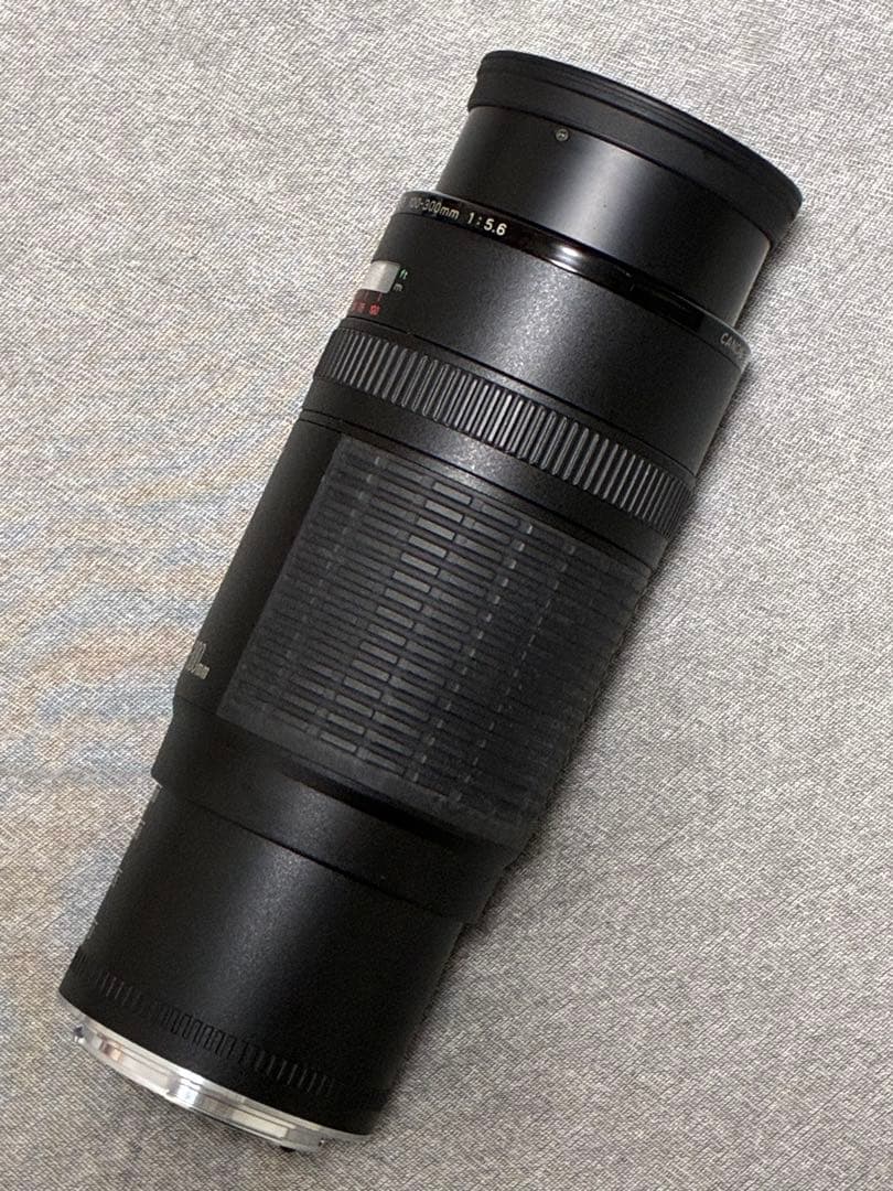 ⭐️美品⭐️キャノン Canon EF 100-300mm f/5.6 超望遠レンズ