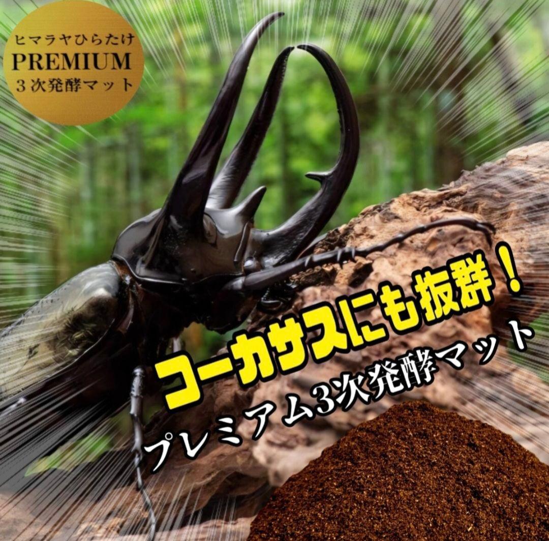 【２セット】カブトムシ幼虫を入れるだけ！プレミアム発酵マット入り㍑ボックス
