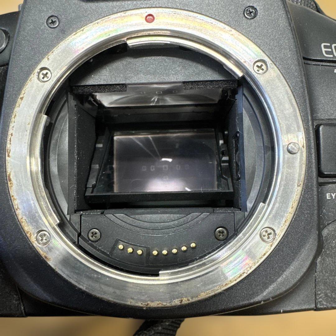 ド*ク様 Canon EOS 7 一眼レフカメラ