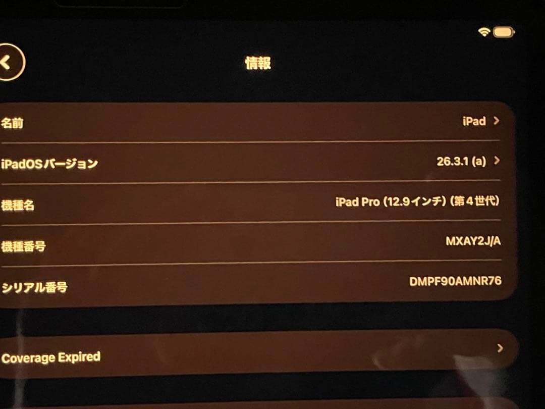 Apple iPad Pro 12.9インチ スペースグレー