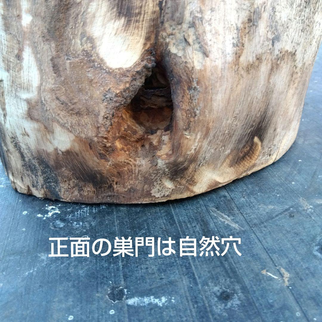 日本みつばち捕獲用待ち箱 ハイブリッド待ち箱 分蜂捕獲箱 捕獲待ち箱