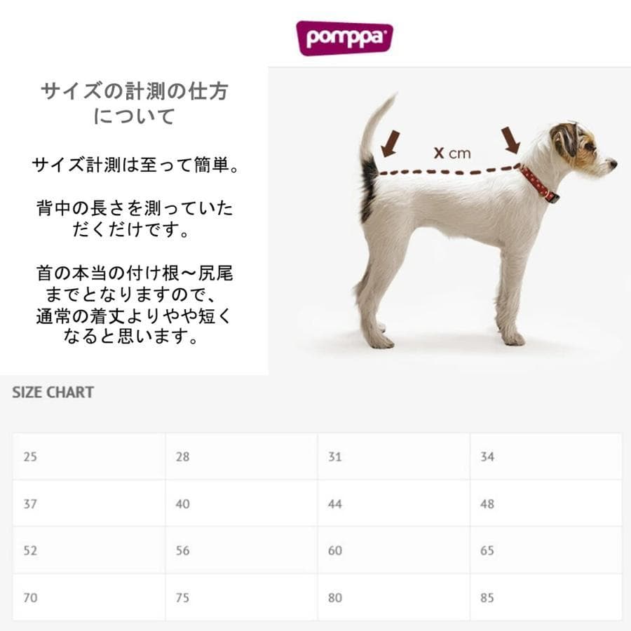 ポムッパ　ペルス　ペトロール　サイズ65