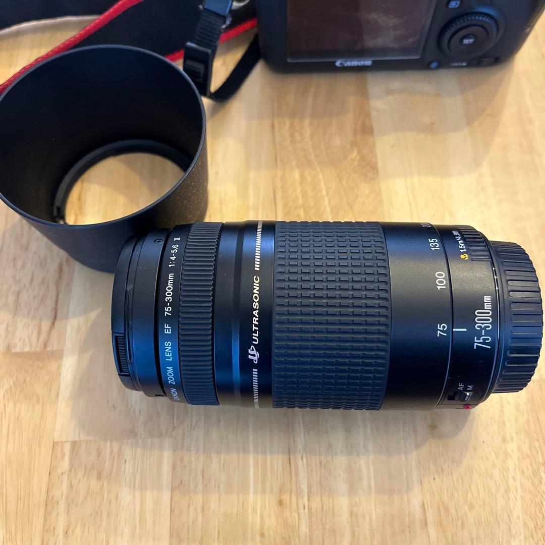 canon EOS6D フルサイズ一眼　中古