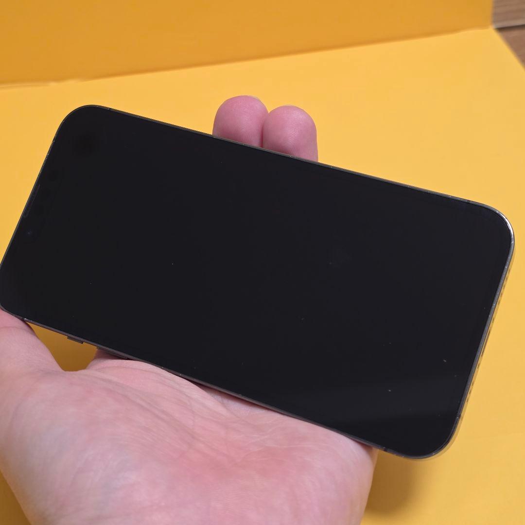 iPhone 13 Pro 256GB バテリ100％｜24時間以内発送#818