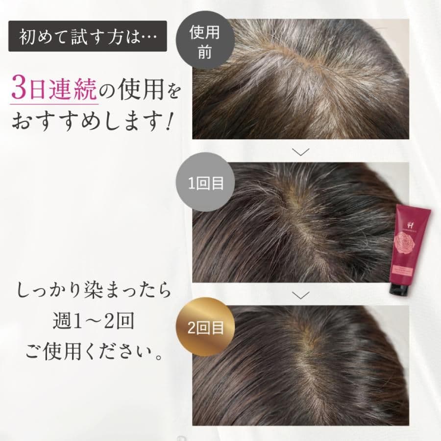 ハーバニエンス　ヘアカラートリートメント　ベージュブラウン　10本セット