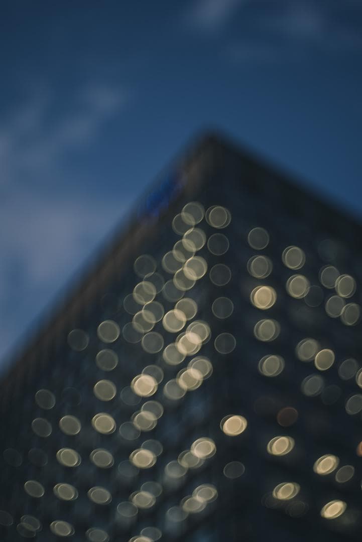 バブルボケ標準！Meyer-Optik Trioplan 50mm F2.9