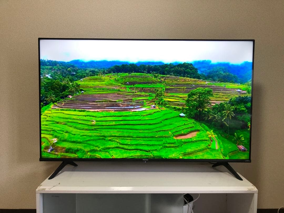 Hisense 50インチ 4K液晶テレビ 50E65G 2022年製