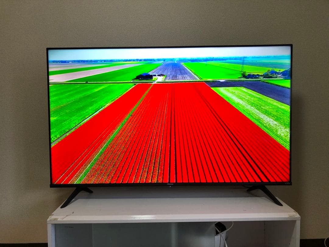 Hisense 50インチ 4K液晶テレビ 50E65G 2022年製