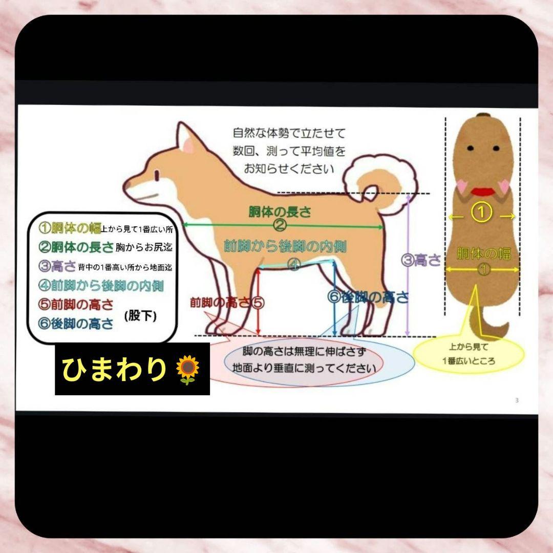 ワンちゃん4輪　リハビリ　食事補助　犬用車椅子　歩行補助　犬の歩行器