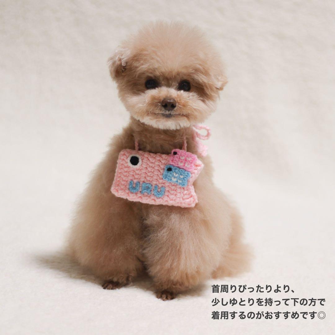 犬用猫用 お名前入り♡親子こいのぼりチャーム