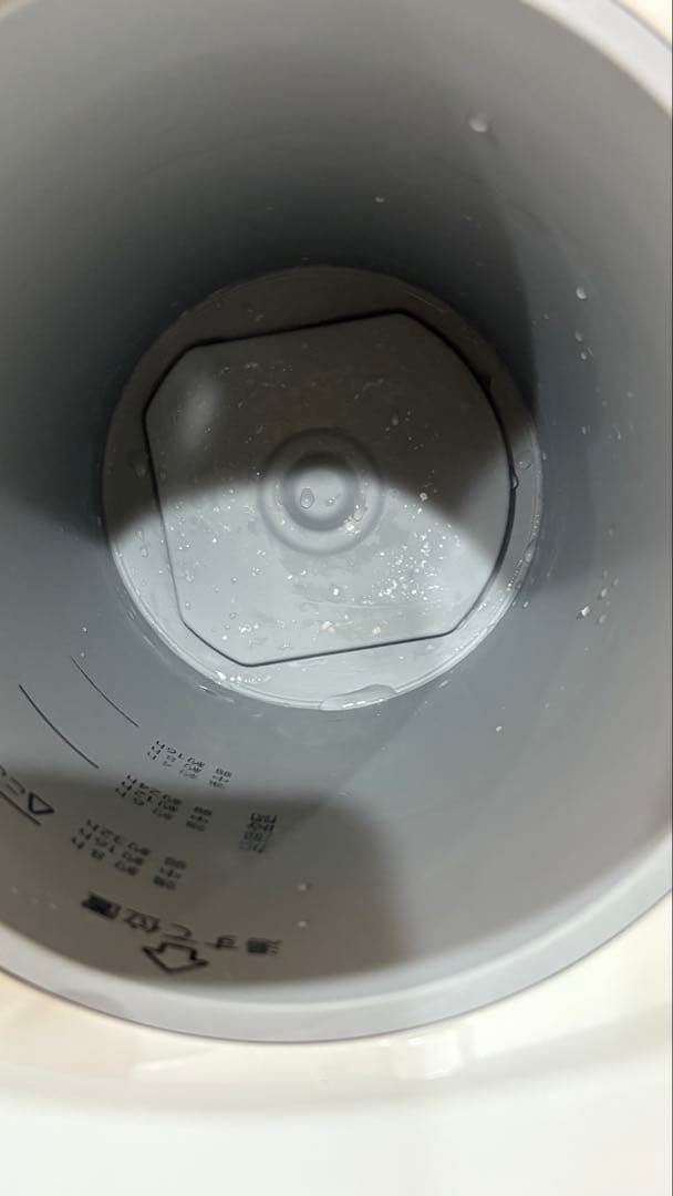 スチーム式加湿機 EE-DE50 2024年製 象印