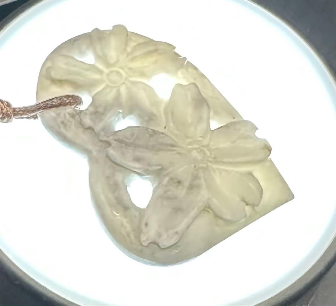 白桜