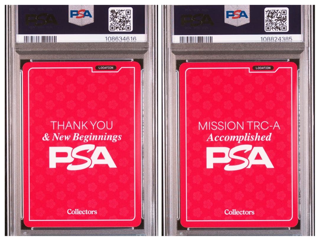 【希少】【PSA10】PSA JAPAN ポップカルチャーの交差点セット 昼/夜