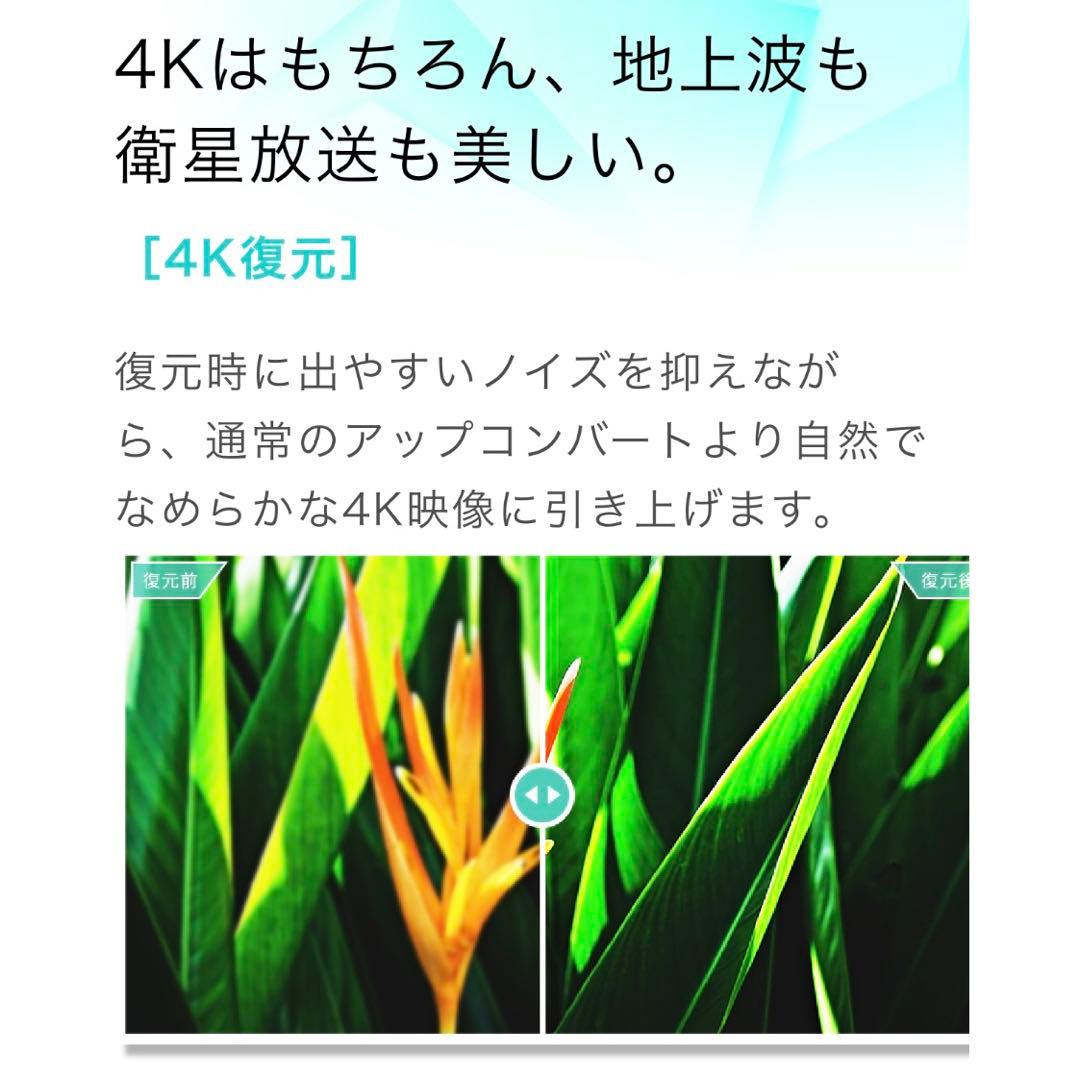 【極美品】※手渡し大歓迎※発送も対応可能 65V型 液晶テレビ 65E6G