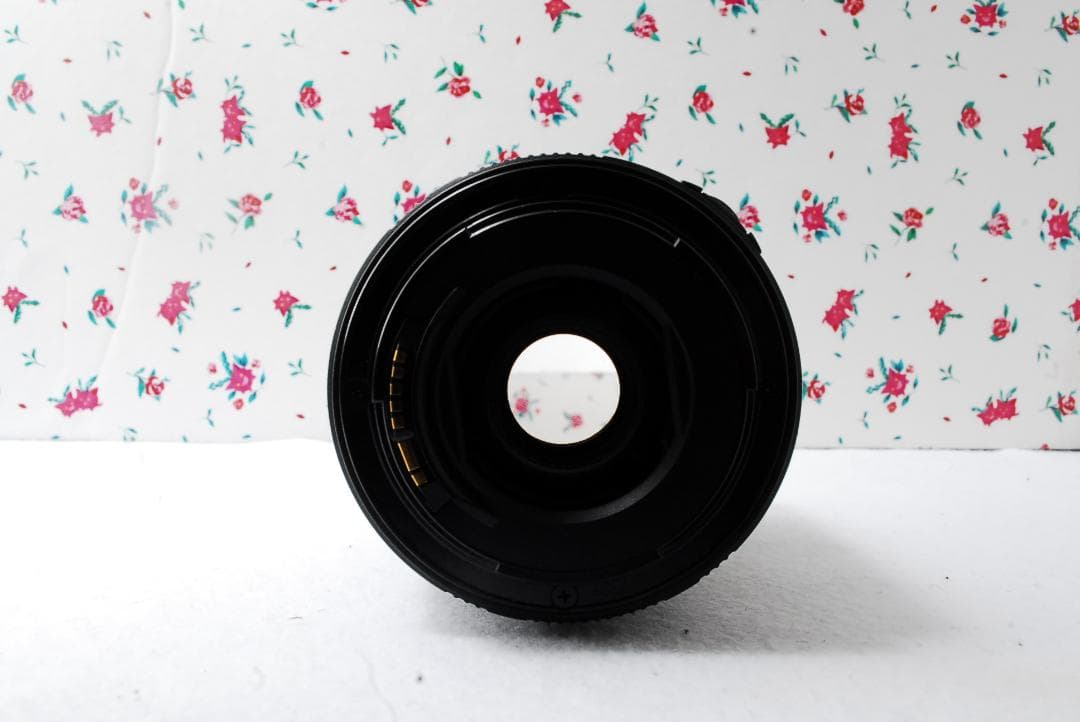 Canon❤️18-200mm❤️超万能❤️ズームレンズ ❤️キャノン