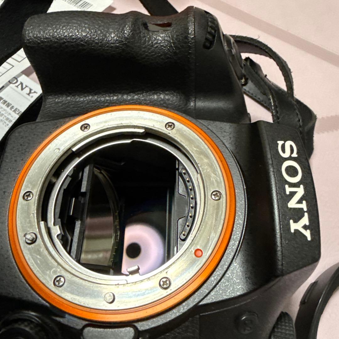 SONY α99 II ILCA-99M2 と　SAL2470