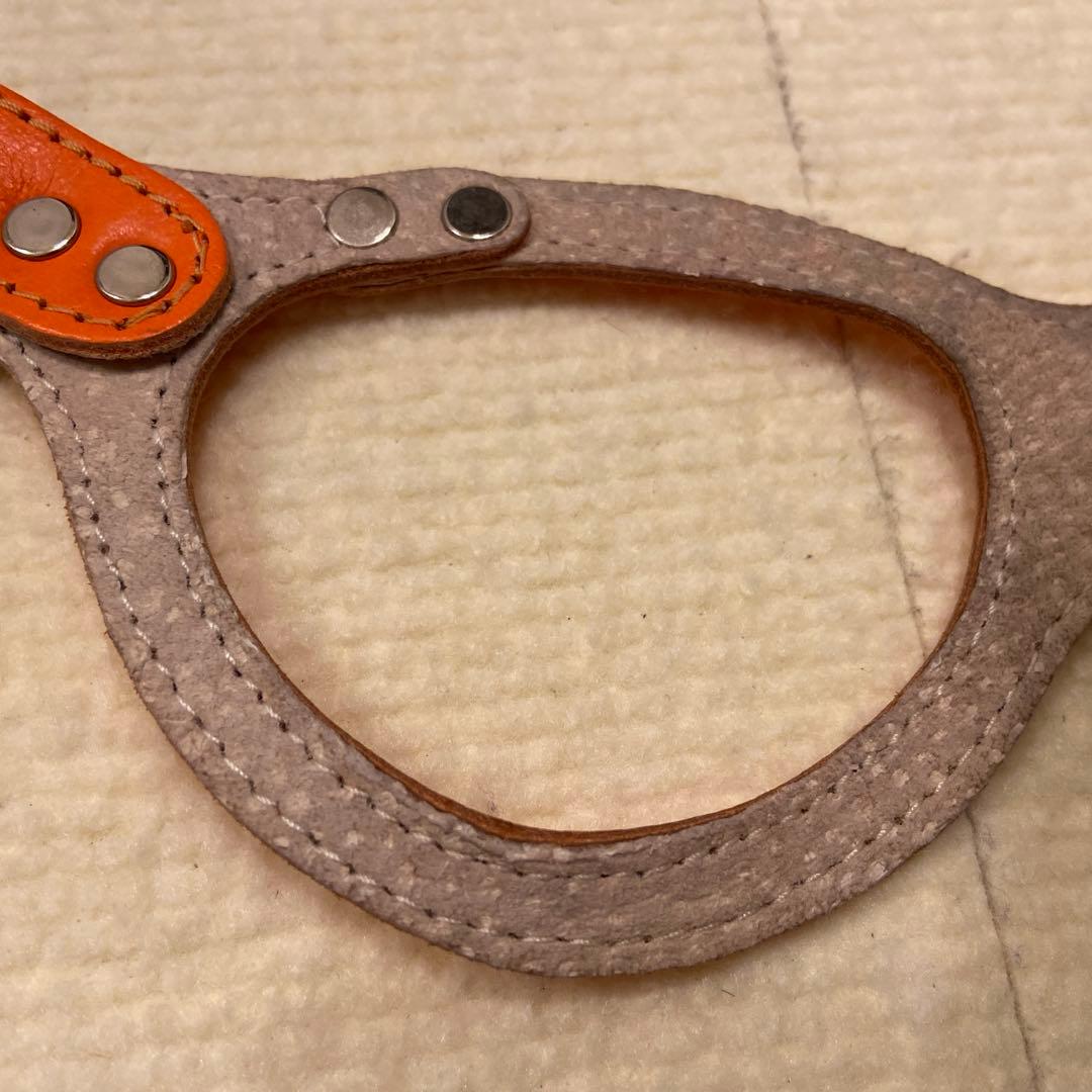 バディベルト3号　ファイヤーボール　ハーネス　リードセット