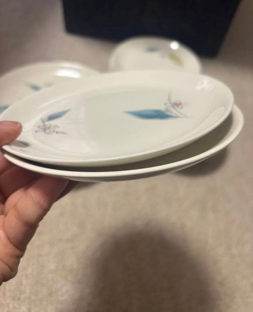 アンティーク食器1959年 ミッドセンチュリー Salem社セット