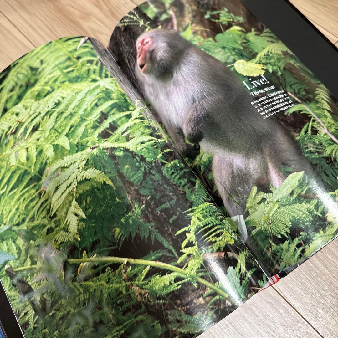 週刊 日本の天然記念物 動物編 フィギュア4-50 / 冊子21-50