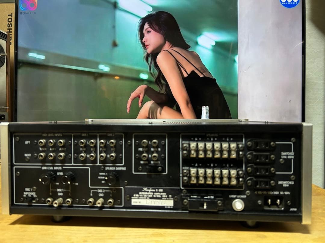 Accuphase アキュフェーズプリメイン アンプ E-202