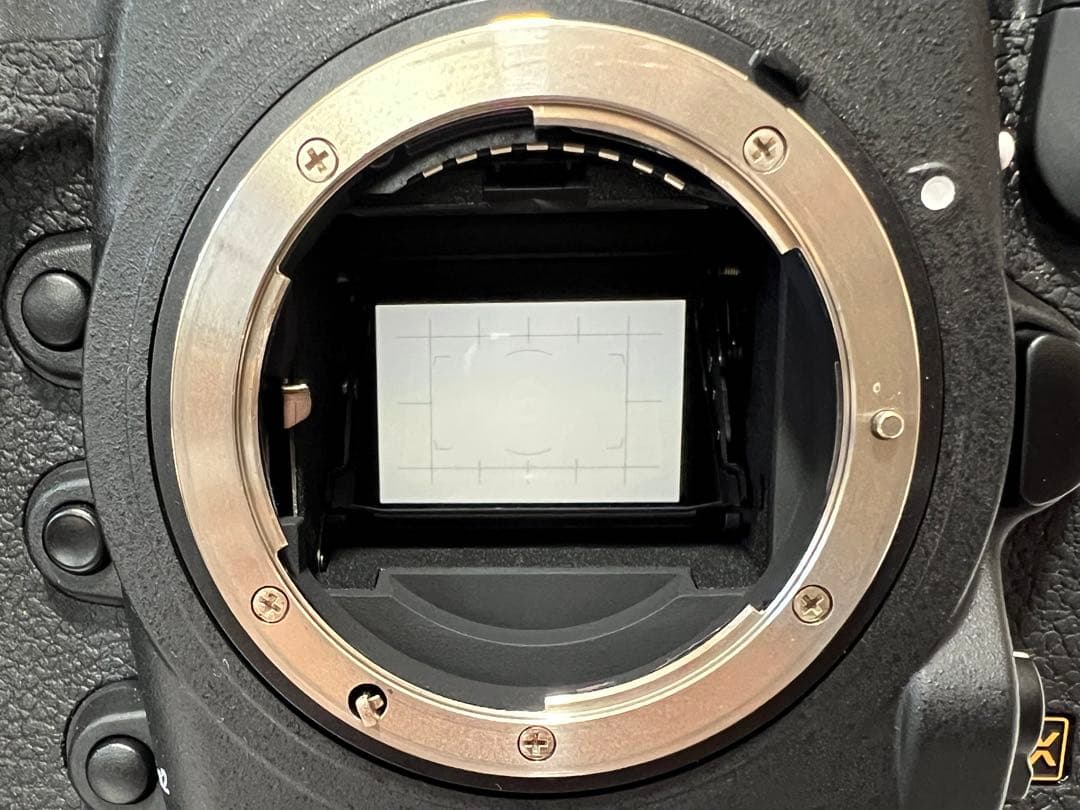 Nikon D6 ボディ　美品【撮影枚数3,551枚】