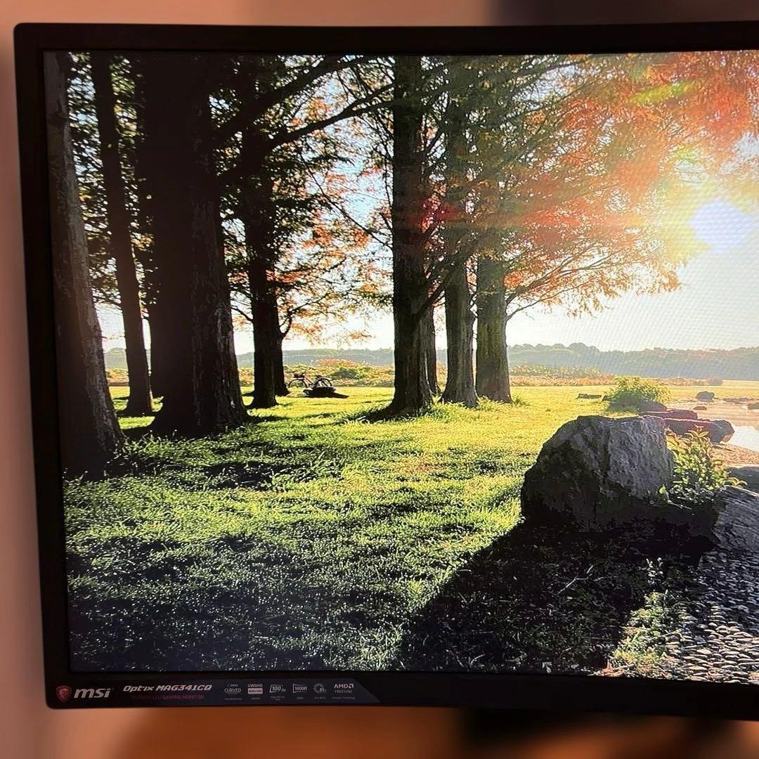ディスプレイ・モニター本体 MSI Optix MAG341CQ
