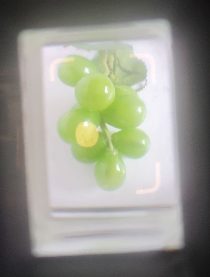 RICOH AUTO HALF E（動作品）