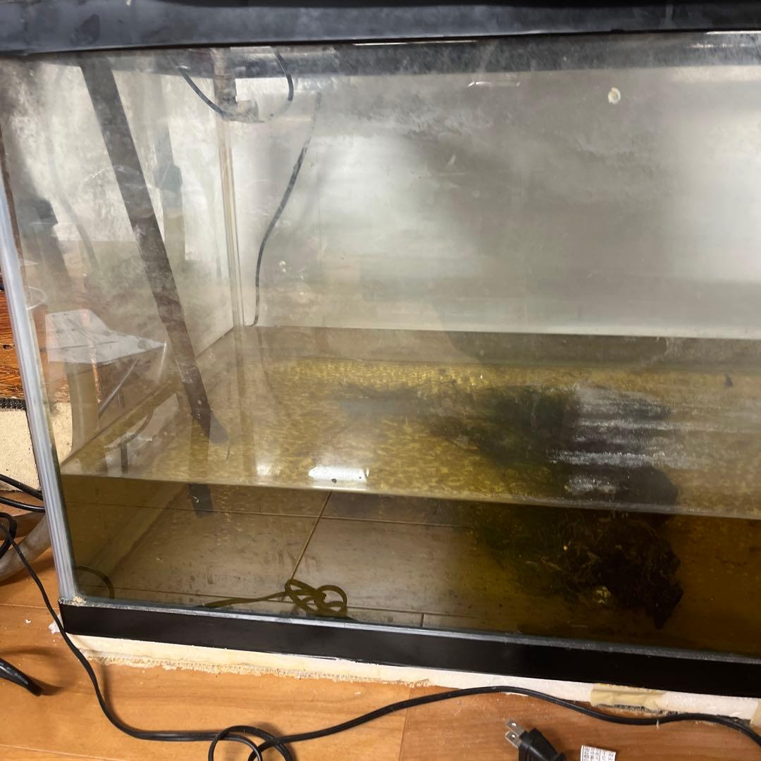 90センチ水槽