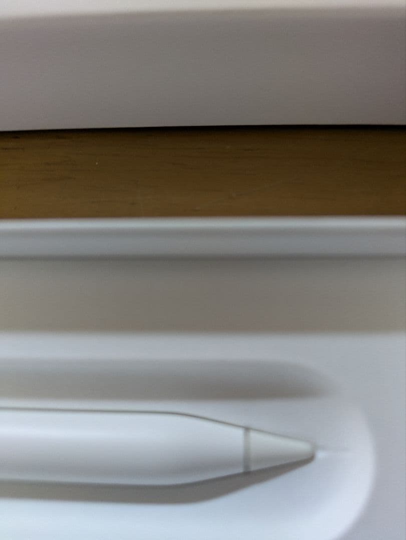 Apple Pencil ホワイト 専用ケース付き