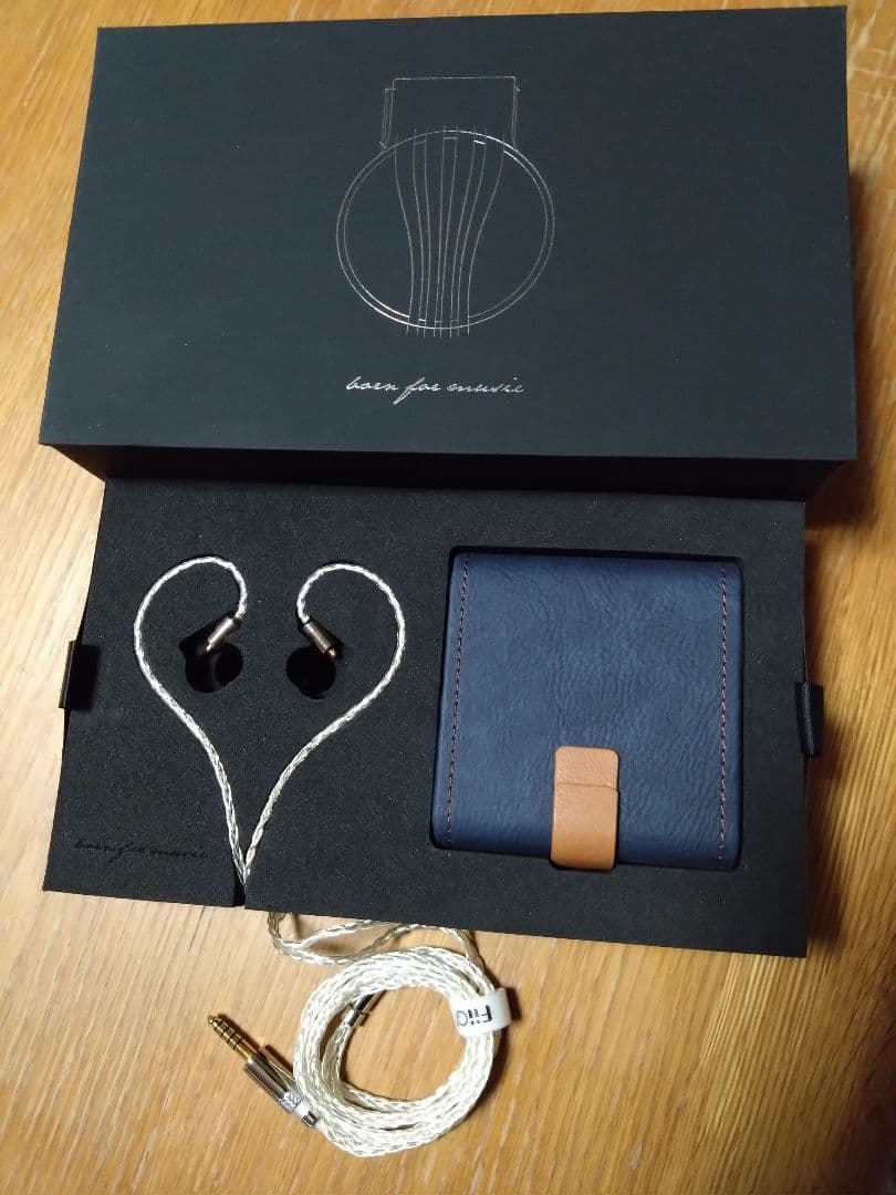 【中華イヤホン】FiiO FD5 イヤホン